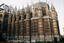 veins-:  butterbrains:Westminster Abbey (by