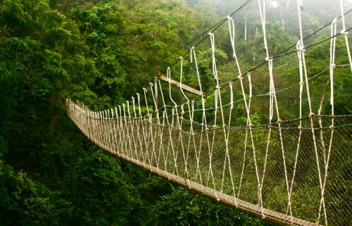 africanstories: kilele: Canopy walk in Ghana Photo by JenCarlson