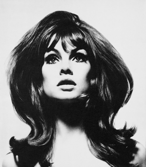 Jean Shrimpton  photo by David Bailey; box of pin-ups series, 1965