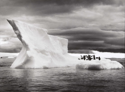 Icebergs near Paulet Island, Antarctica photo