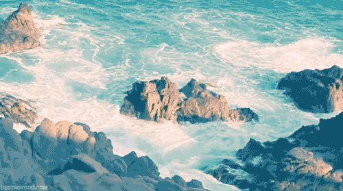 Wonderland
