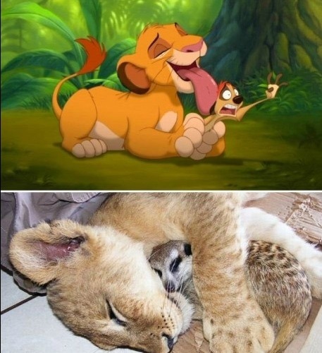 pasa en las peliculas, pasa en la vida :3