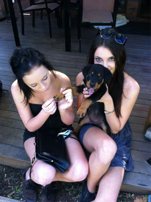 youarentuglysocietyis:   youarentuglysocietyis:  HIPSTER BLOG +++▲   