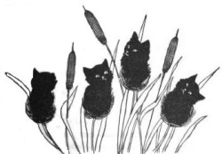 as-warm-as-choco:  bettertoseeyou:Fine Crop of Kitties (by LisaGenius) Black Cat, 1896   damn to be so ahead of your time at the late 90s