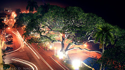 fuckyeahphotography:  Dumaguete Boulevard,