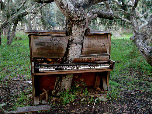 Nature will always take over.