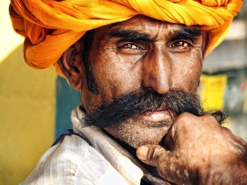 nationalgeographicdaily:  Rajasthan, India Photograph by April Maciborka This portrait was taken in a city called Bundi in Rajasthan, India.  This man shone in the setting sun, his skin glistening, his eyes vibrant and his turban matching the color of