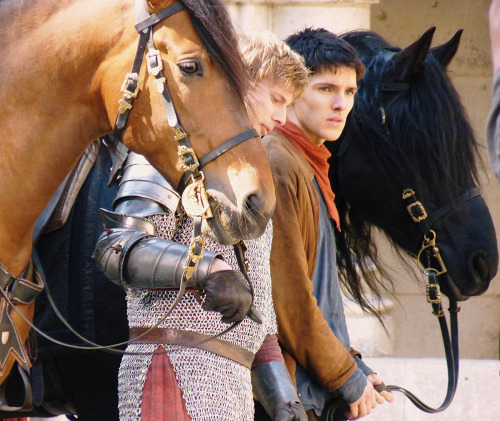 thegreymoon: vickytokio: thegreymoon: yavannauk:Boys, horses and sunlight! This photo is so beautifu