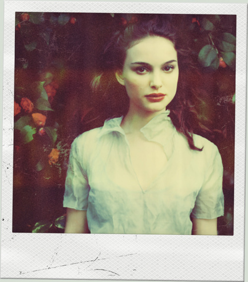 Polaroid Stars