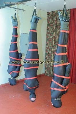 Trussed