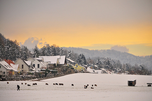 Winter scene | Embrach, Switzerland©  Juan Rubiano