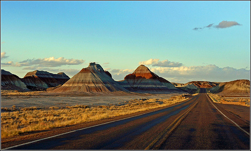 On the road in Arizona | Petrified Forest, Arizona©  Zé Eduardo…