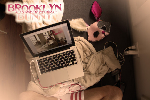 Brooklyn Bunny - Alexander Guerra 2011