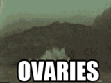 When guys stretch & their shirts ride up so you can see their boxers.