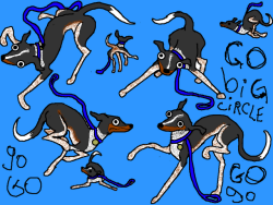 ratsoff:  Wild Animal: The Simple Dog Goes