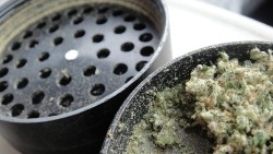 Looks like my grinder haha