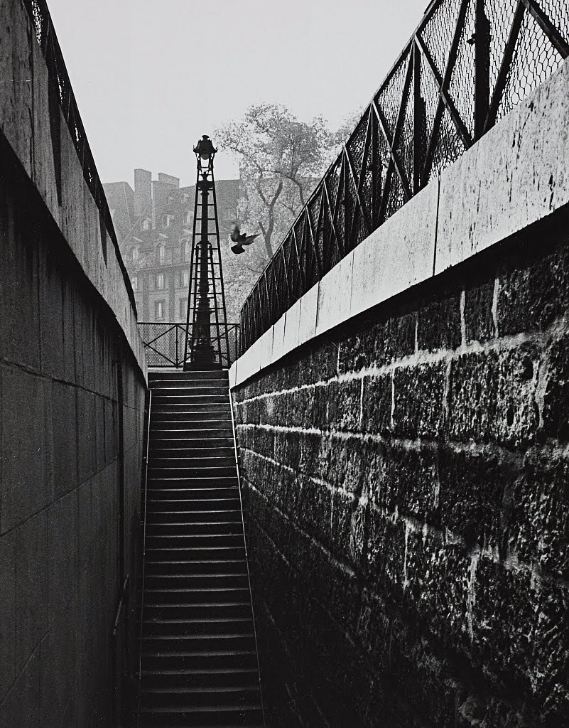 quintessenceinblackandwhite:  André Kertész 