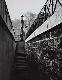 Quintessenceinblackandwhite:  André Kertész 