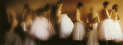  David Hamilton