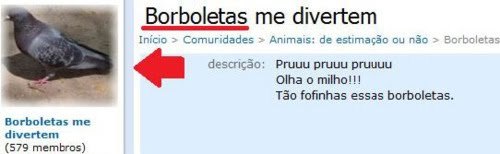 sorvetedemelancia:   