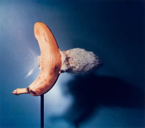 Bullet Through Banana photo by Harold Eugene Edgerton, 1964