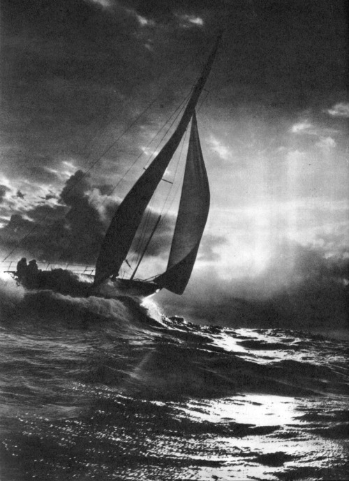 Song of the gray seas, 1981 by N. Aldoul
sov-photo