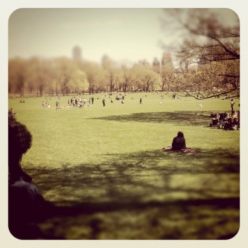 #NYC welcome spring to Central Park (Taken with instagram)