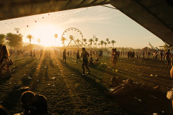 fwavves-:  Coachella 2011 (by Caesar Sebastian) 