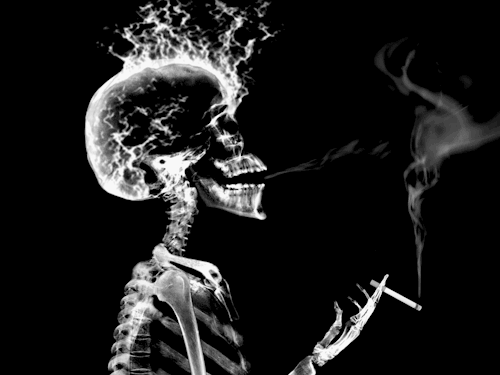 † Forgive me Father, for I have sinned †