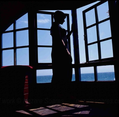 untitled (summer 2010)