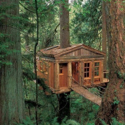 Sick tree house