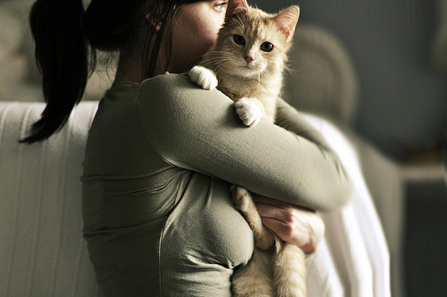 fifteenths:  (by jane.bird) 