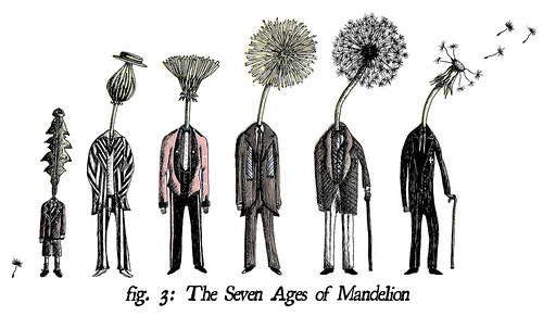 -volare:  The Seven Ages of Mandelion Distressed Print (by vonMonkey) 