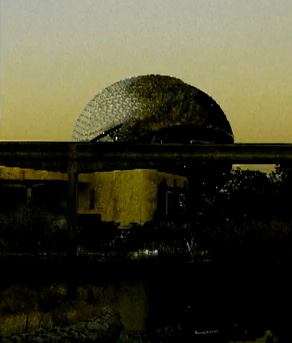 What Walt Disney World Would Look Like if it Were Ever Abandoned
