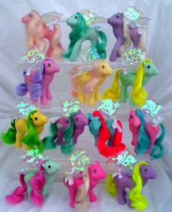 jediflip:  all of the flutter ponies, in mint condition *gasps* ;___; &lt;/3