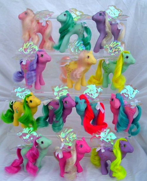 jediflip:  all of the flutter ponies, in mint condition *gasps* ;___; </3