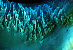 andrewharlow:  Satellite photo of the sand and seaweed off the coast of the Bahamas 