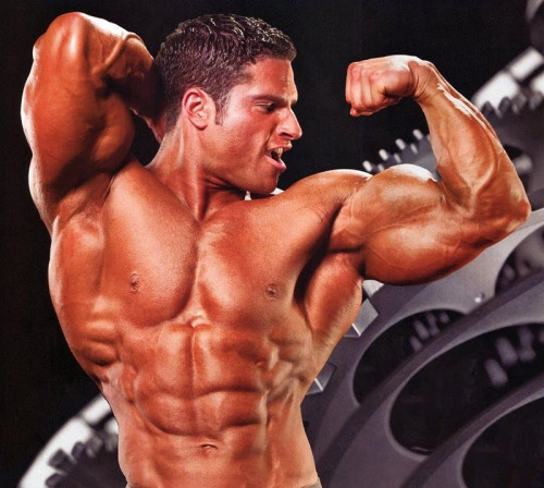musclefx:  David Hoffman. Bodybuilder.