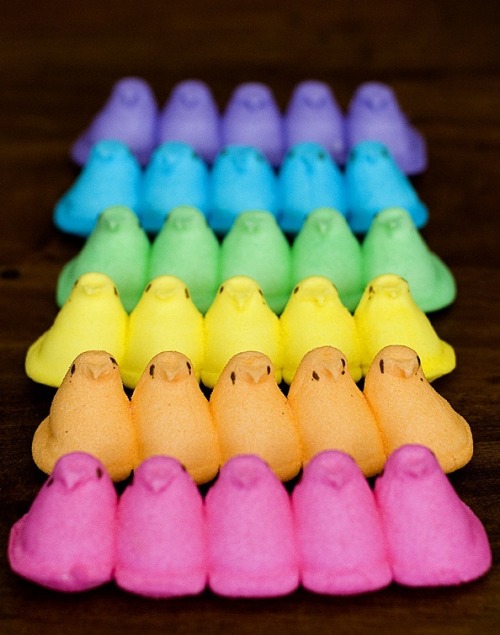 gastrogirl:  peep rainbow. 