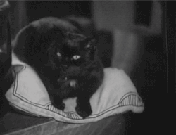 kittenmeats:  “Maniac” (1934)