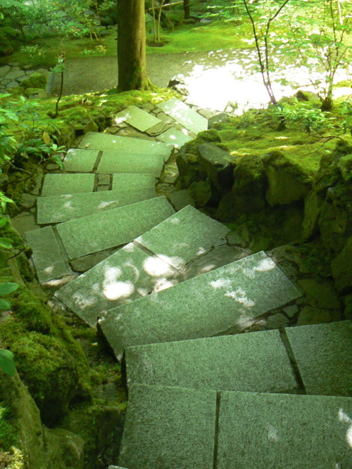 waxlinguistic: Stairs at the Portland Japanese Garden Portland, Oregon - May, 2009
