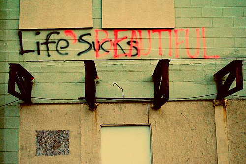  i really wish this picture would go around tumblr. i saw this on a building in Pensacola while I was visiting my brother. apparently someone was going around  writing positive things on negative graffiti around town. this really has stuck with me. 