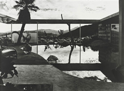 Raymond Loewy House; Palm Springs, California photo by Julius Shulman, 1947