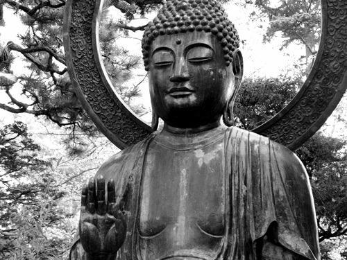 mistahtofuhn:  ob3y5teeze:  I love my buddha.  I love my teacher.  