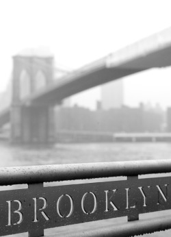 brooklyntheory:  Brooklyn, Brooklyn Heights 