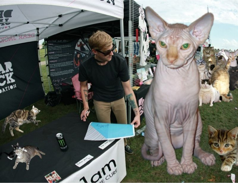 andrewandcats:  Greeting some fans at Warped Tour.