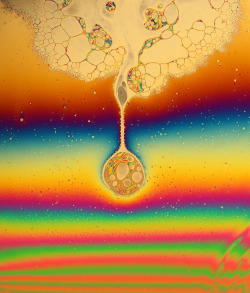 Gypsyism:  Soap Film By Jane In Colour 