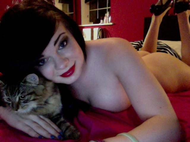 sarahdragon:  Kittybomb Tuesday. He came to cuddle cause he was a sleepy kittyreg.