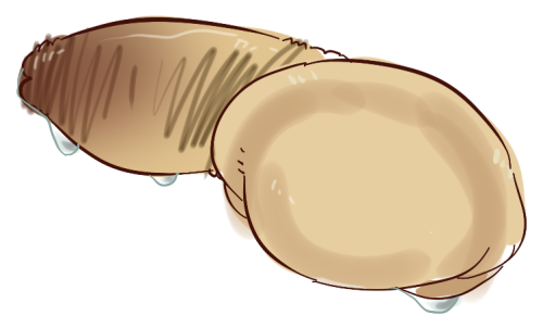 -petrichor:  dredsina:  I don’t care what you say. I love them.  Awwww, this one is short and fat. I kind of want to give it a kiss.  someone should flirt with it