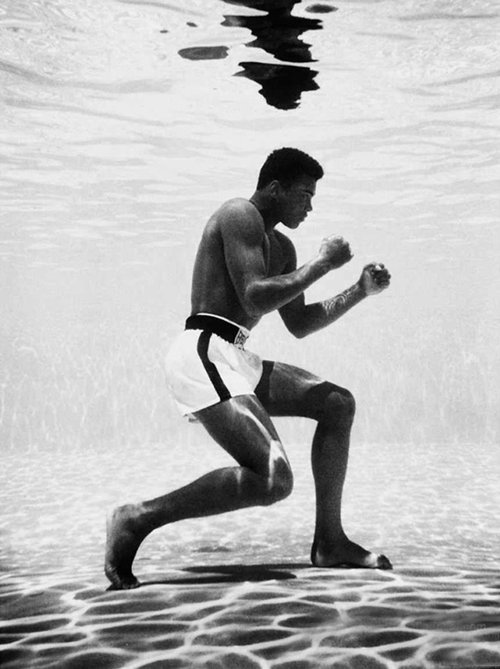 fearandhope:  “Dancing round the border like Cassius Clay” 